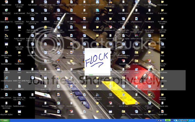 Flock 0.8 Splash Screen Flock 0.8 Splash Screen
